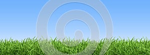 Green grass on blue clear sky, spring nature theme. Panorama