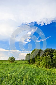 Green grass blue skies