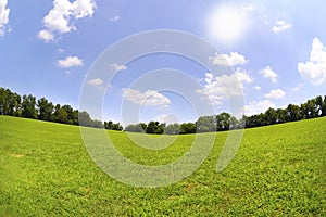 Green Grass and Blue Skies in the Summertime