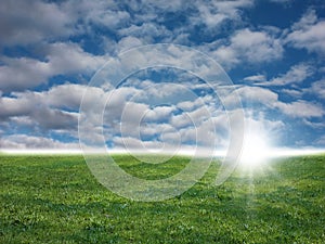 Green grass and blue sky