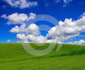 Green grass and blue sky