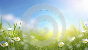 Green grass and blue sky with clouds