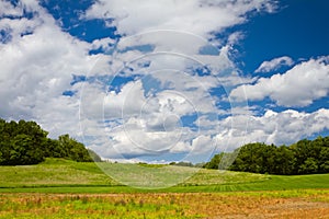 Green grass and blue sky with clouds