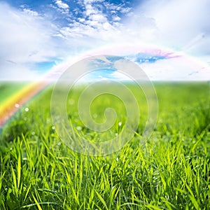 Green Grass and blue sky with rainbow