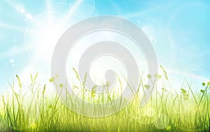 Green grass, blue sky, spring blurred bokeh background