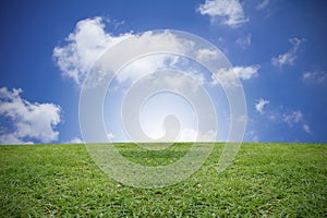 Green grass and blue sky