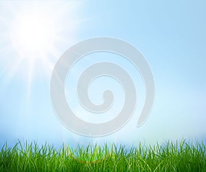 Green grass and blue sky. Vector background