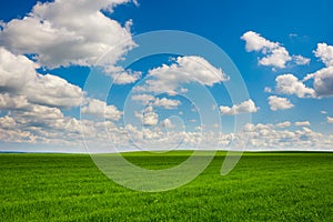 Green grass and blue sky with white clouds