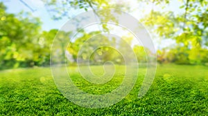 green grass blurred background with sun rays in park meadow