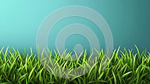Green Grass Border Against Teal Background