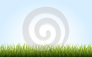 Green Grass Border on blue background