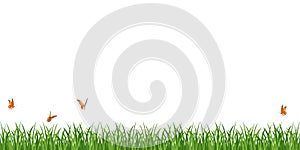 Green grass border with butterflies. Vector illustration of seamless lawn isolated on white.