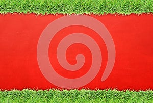 Green grass border on cement wall background