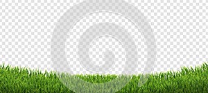 Green Grass Border Isolated Transparent Background