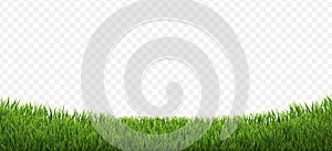 Green Grass Border Isolated Transparent Background