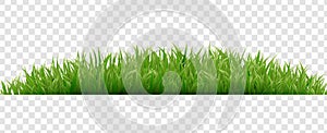 Green Grass Border Isolated Transparent Background