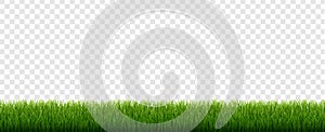 Green Grass Border With Isolated Transparent Background