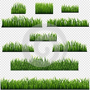 Green Grass Border Isolated Transparent background