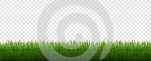 Green Grass Border Isolated Transparent Background