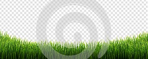 Green Grass Border Isolated Transparent Background