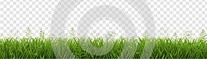 Green Grass Border Isolated Transparent Background