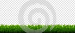 Green Grass Border Isolated Transparent Background