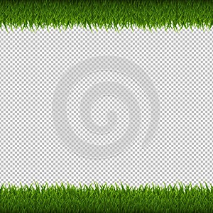 Green Grass Border Isolated Transparent Background