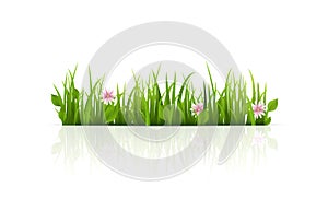 Green Grass Border. img