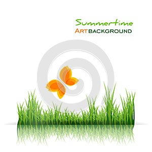 Green grass border and orange butterfly on white background. Spring or summer landscape natural banner. Flat vector eco