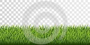 Green grass border set on transparent background. Vector Illustration