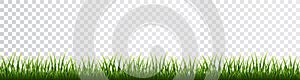 Green grass border set on transparent background. Vector Illustration