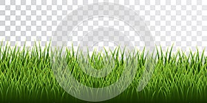 Green grass border set on transparent background. Vector Illustration