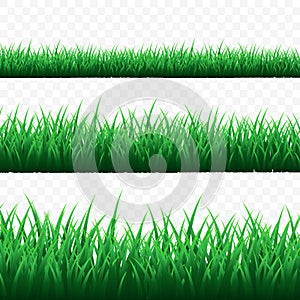 Green grass border set on transparent background. Vector Illustration