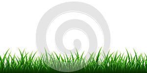 Green grass border set on transparent background. Vector Illustration