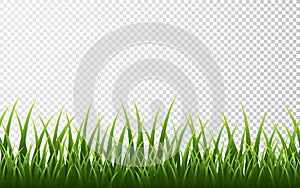 Green grass border set on transparent background. Vector Illustration