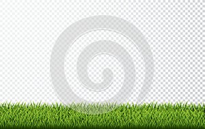 Green grass border set on transparent background. Vector Illustration