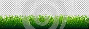 Green Grass Border Transparent Background