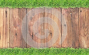Green grass border on wood background