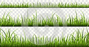 Green grass borders. Summer meadow green panorama nature herbs spring elements lawn grass isolated vector set