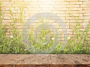 Green grass on brick wall background with empty wooden table top