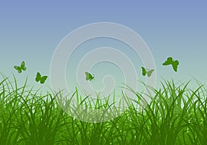 Green grass, butterflies and blue sunny sky spring landscape. Perfect for backgrounds