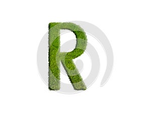 Green grass capital letter R isolated graphic design element