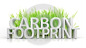 Green grass with Carbon footprint