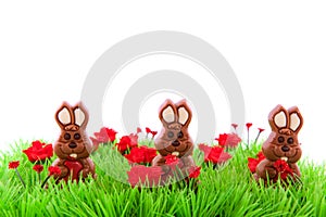 Green grass with chocolate easter hares photo