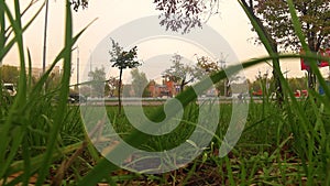 Green grass and the city video background, footage