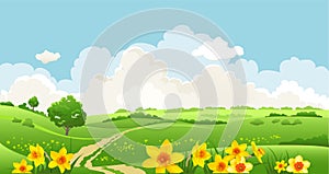 Green grass, clouds and flowers