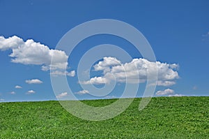 Green grass and cloudy sky