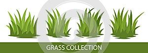 Green grass collection