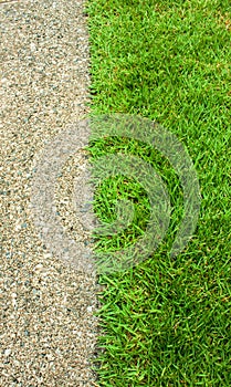 Green grass and concrete floor