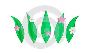 Green grass, 3d leaves and flowers. Daisy flower and white chamomile. Pink floral elements. Isolated blossom garden